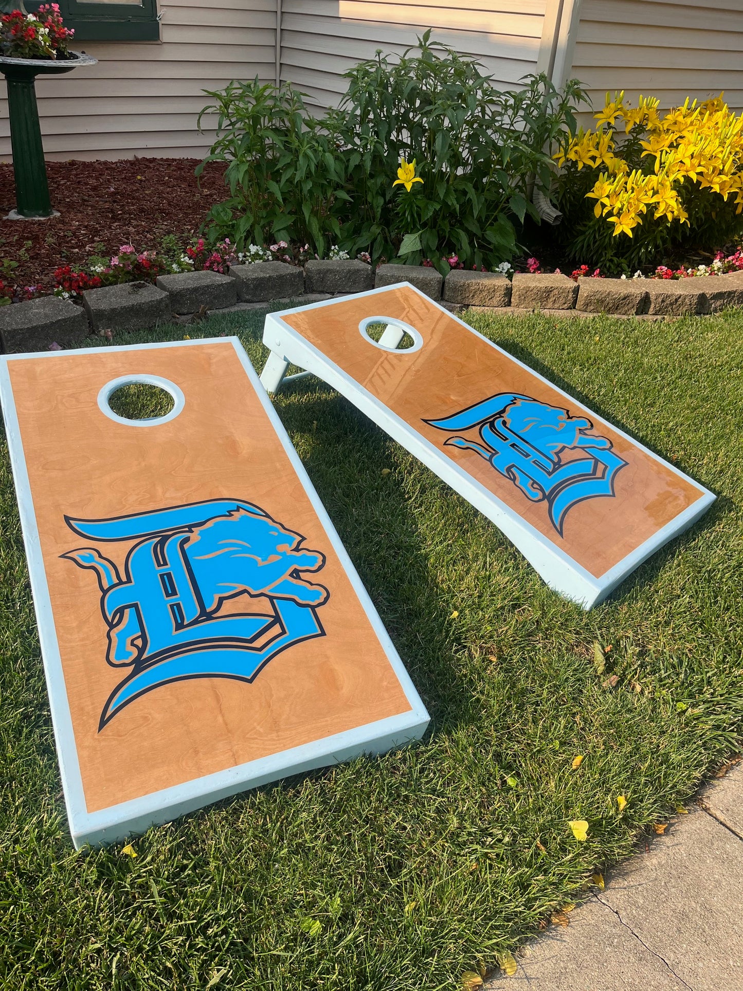 The Lions Set