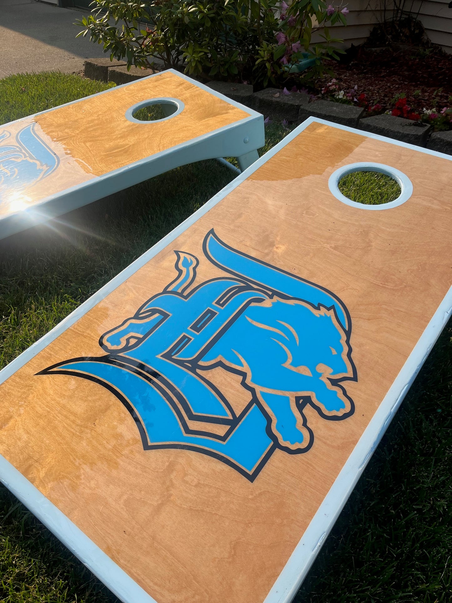 The Lions Set