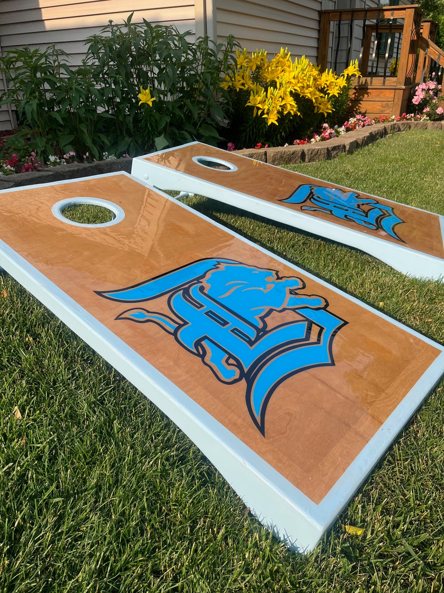 The Lions Set
