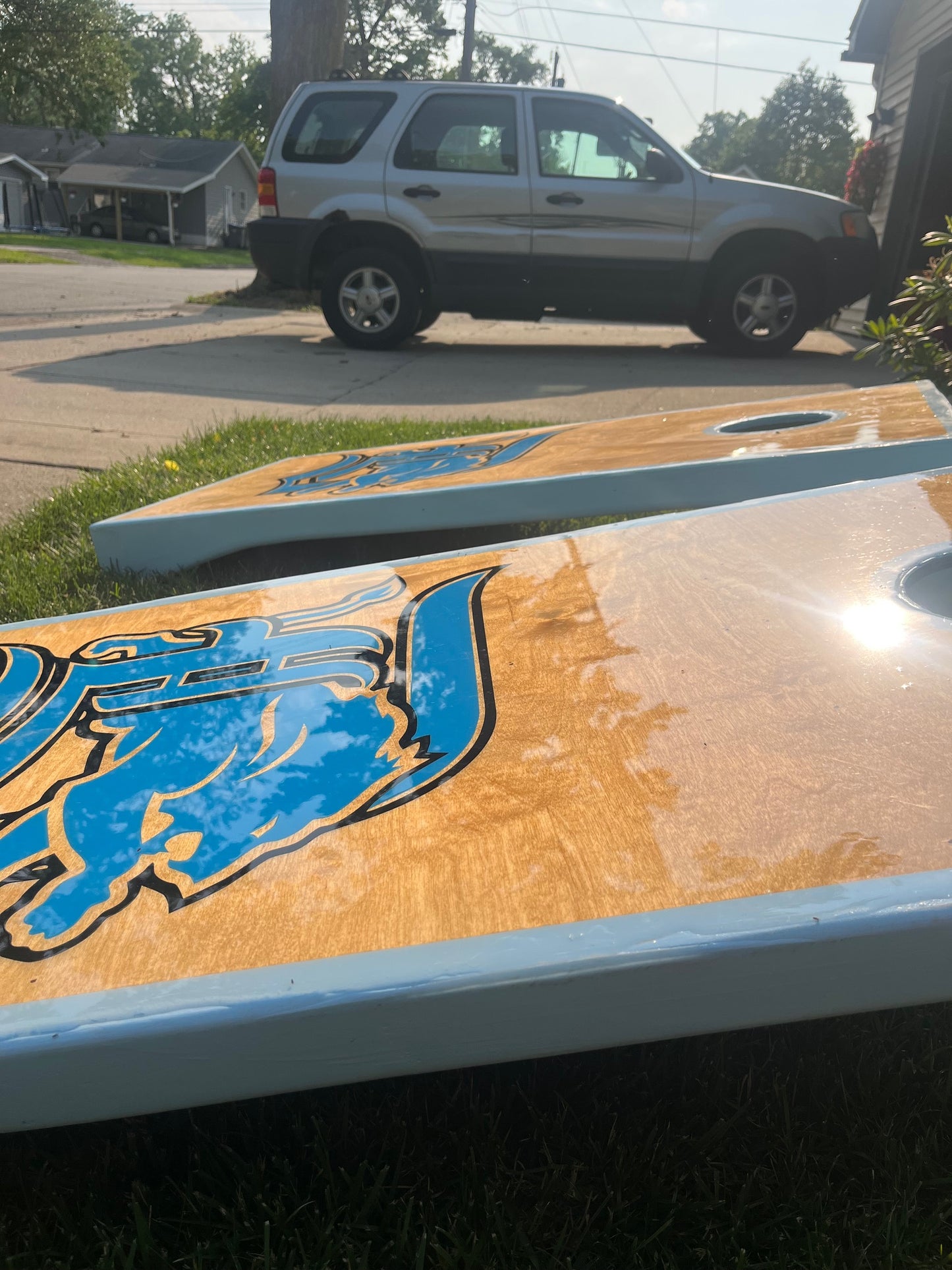 The Lions Set
