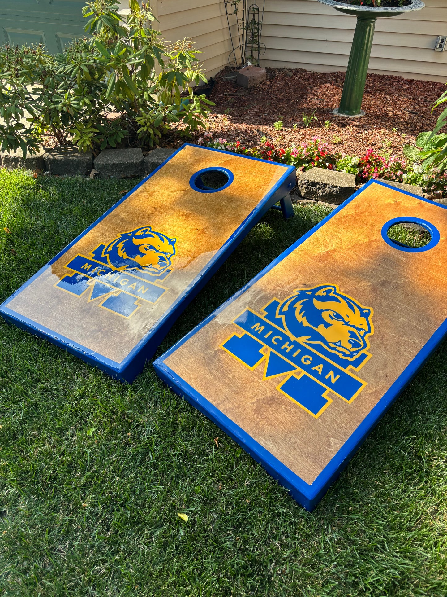 Michigan - Go Blue !!