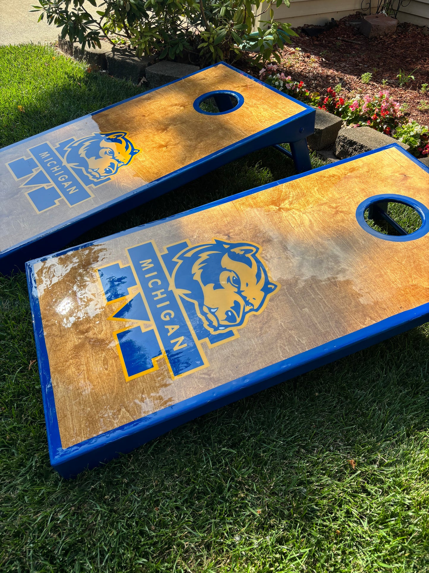 Michigan - Go Blue !!