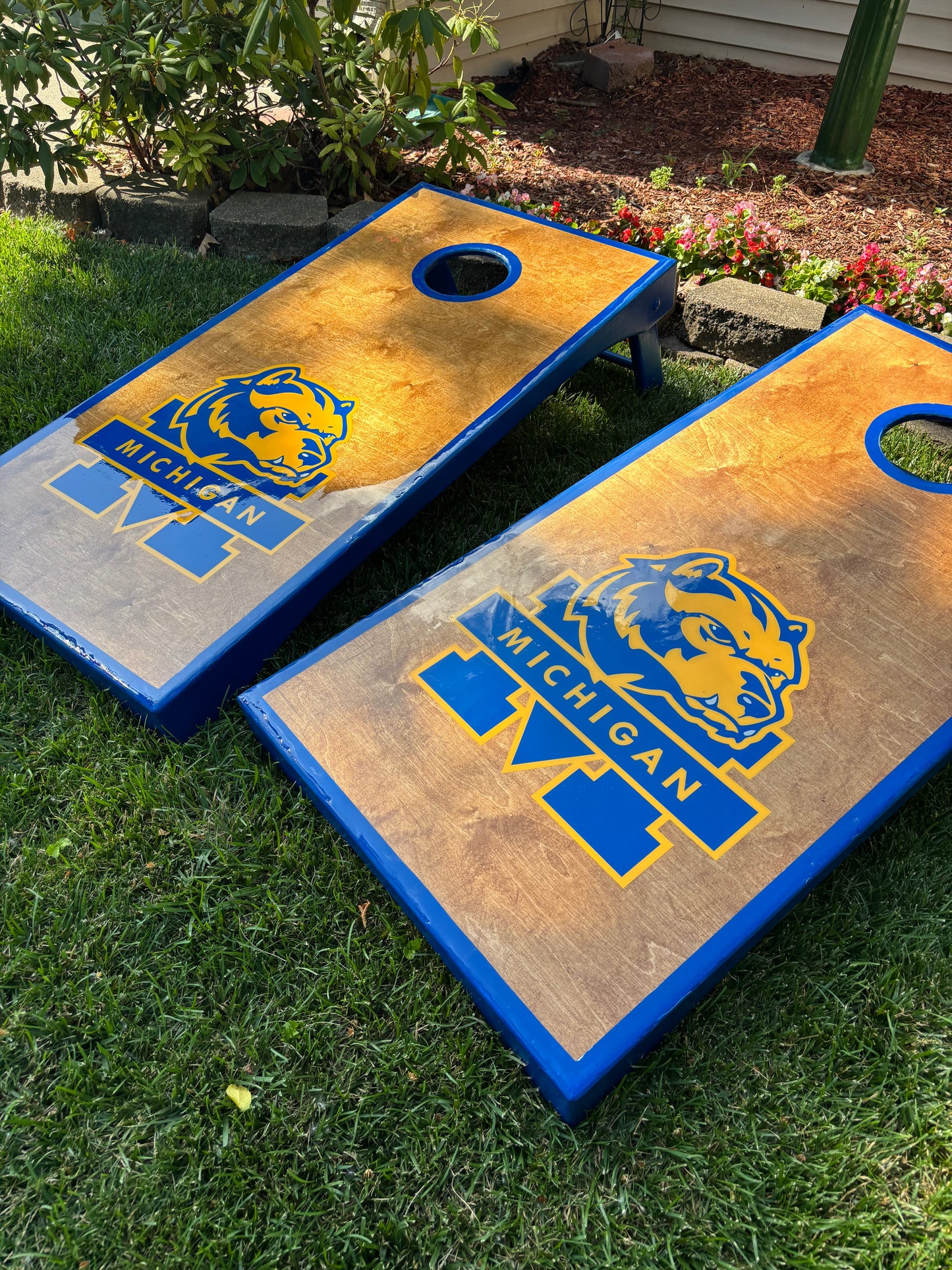 Michigan - Go Blue !!