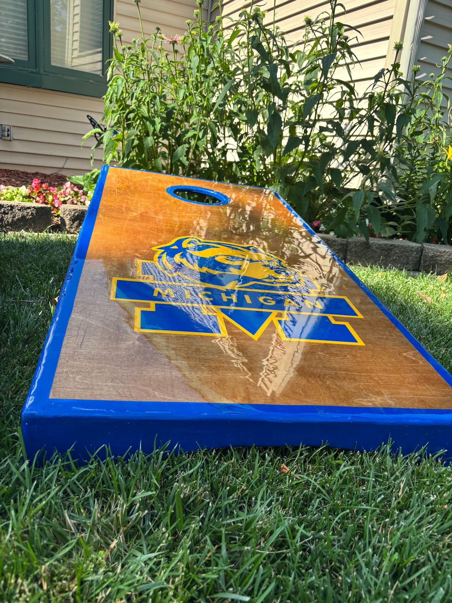 Michigan - Go Blue !!